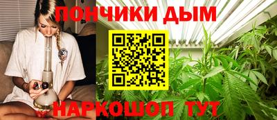 винт Дубна