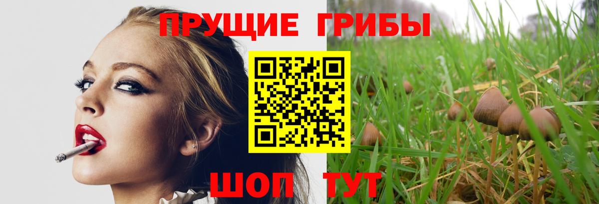 Киселёвск  Галлюциногенные грибы MAGIC MUSHROOMS  Псилоцибиновые грибы ЛСД  Вход с VPN 